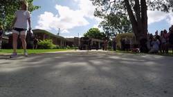 Bald eaglet released after 2 weeks in hospital Instructional Video