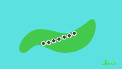 The Bacteria That Make Perfect, Tiny Magnets Instructional Video