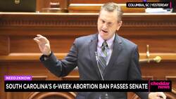 South Carolina Senate Passes 6-Week Abortion Ban News Clip