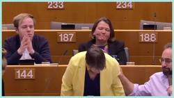 Withdrawal Agreement Approved by the European Parliament - Brexit Explained Instructional Video