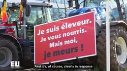 Can Europe make ecological farming competitive? News Clip