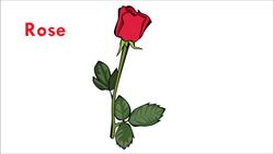 Letter R - ABCs for Babies and Kids Instructional Video