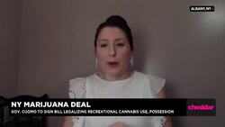 New York Lawmakers Reach Deal to Legalize Recreational Marijuana News Clip