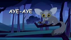 How Does The Aye-Aye Lemur Find Food? Instructional Video