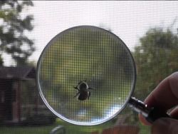 Making Observations: Measuring Instructional Video