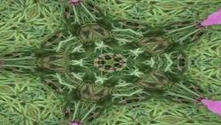 Kaleidoscope background footage for creative design Stock Footage