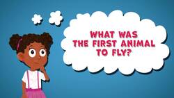 What Was The First Animal To Fly? Instructional Video