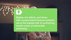 How to Recognize the Symptoms of Salmonella Poisoning Instructional Video