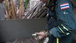 Firefighter is also Bangkok's top snake catcher News Clip