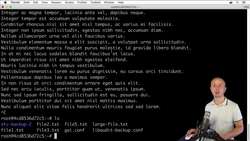 The Complete Practical Docker Guide - Reading Files Instructional Video