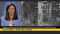 Evidence of war crimes, crimes against humanity in Ukraine but not genocide: Veteran investigator News Clip