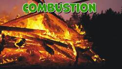 I WONDER - Where Does Carbon Come From? Instructional Video