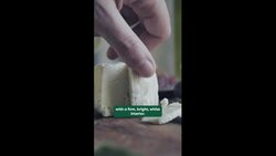 What is Goat Cheese?! #brighttrip #travelsmarter #chesse Instructional Video