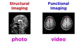 Research Methods of Biopsychology Instructional Video
