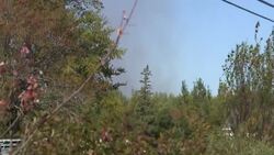 Lake George wildfire forces hundreds of residents from homes News Clip