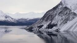 Yukon's Wild Heart: Kluane’s Beauty Unveiled by Drone Stock Footage