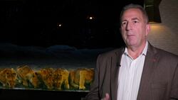 LG shows off a range of 8K televisions ++EMBARGOED 1600 GMT++ Instructional Video