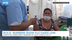 W.H.O. Numbers Show Cases Of The Flu Are Low So Far News Clip