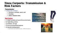 Ringworm (Tinea Corporis) | Causes, Risk Factors, Signs & Symptoms, Diagnosis and Treatment Instructional Video