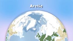 I WONDER - Where Do Walrus Live? Instructional Video