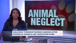 Police: NJ woman charged with 43 counts of animal neglect after several dogs, cats found dead inside freezer News Clip