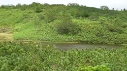 Ponds, swamps and lush greenery surrounding Lake Rausu in the Shiretoko National Park, Hokkaido, Japan Stock Footage