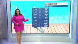 Sunny, humid with isolated thunderstorms in New Jersey News Clip