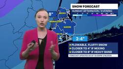 STORM WATCH: What you need to know about today's snowstorm in Brooklyn News Clip