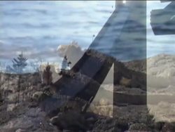 Gravity: Video Review Instructional Video