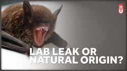 Did Covid-19 Evolve Naturally or Leak from a Lab? The Many Confusing US Intelligence Reports Instructional Video