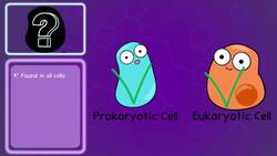 Cell Organelles and Structures Review Instructional Video