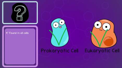 Cell Organelles and Structures Review