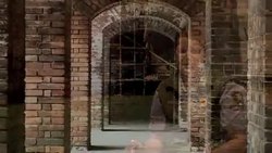 Everglades National Park - Episode 265 Instructional Video