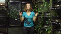 The Reptile Room gets a Makeover! Instructional Video
