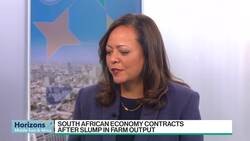 Gardner: South Africans Are Getting Poorer News Clip