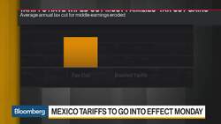 Harvard's Greene Doesn’t See a Massive Inflation Increase From Tariffs News Clip