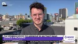 New Gas-Powered Cars Will Be A Thing Of The Past By 2035 In California News Clip