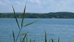 View through the reeds on a large lake over which the blue sky. Natural landscape. Stock Footage