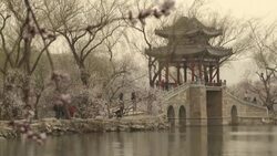 CLEAN : Beijing residents admire peach blossoms in early spring News Clip