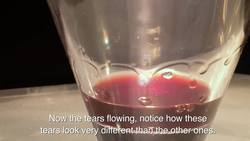 Most People Don’t Know Wine Moves Like This | EVERYDAY MYSTERY Instructional Video