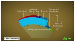4 Body Parts Discovered in the Last 10 Years Instructional Video
