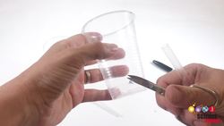 Model Your Blood Flow Instructional Video