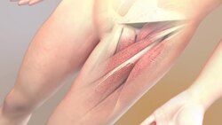 Direct Anterior Hip Replacment Instructional Video