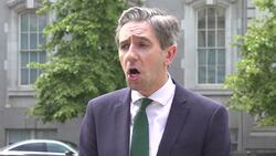 Taoiseach praises Irish peacekeepers and 'poignant' National Day of Commemoration News Clip