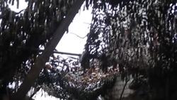 CLEAN : In eastern Ukraine, soldiers watch for movement of pro-Russian troops News Clip