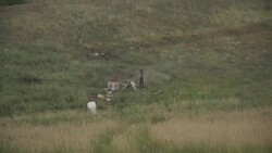 CLEAN : Chechens volunteer to fight for Ukraine against Russia News Clip