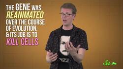 A Zombie Gene Keeps Elephants from Getting Cancer | SciShow News Instructional Video