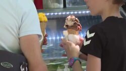 CLEAN : Versailles visitors look for shade in midst of Paris heatwave News Clip