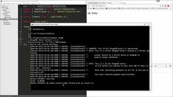 The Full Stack Web Development - Find & Insert Into Collections Instructional Video