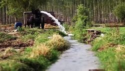 Watering in the field Stock Footage